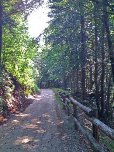 Hotel Fior Di Bosco Giovo Esterno foto