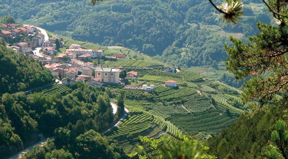 Hotel Fior Di Bosco Giovo Esterno foto